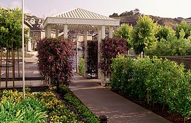 加州Larkspur Courts住宅景观