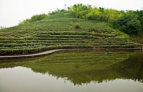 重庆同景新城住宅景观