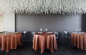 “藤本植物”——米其林二星餐厅