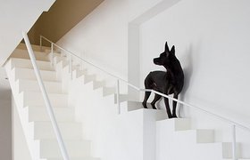 This Home Has Separate Small Stairs For Small Dogs