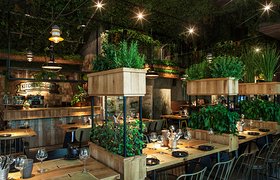 设计师真会玩！餐厅室内引入特殊绿植，兼顾环保与食材