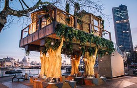 南非旅游业可真拼！专门在伦敦建造树屋吸引游客